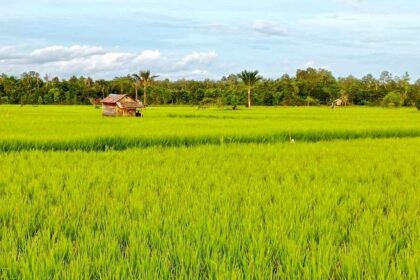 Sidrap raih peringkat nasional Bulog