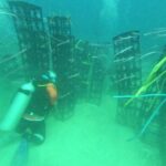 Apartemen Ikan di Sejumlah Pesisir Sulsel