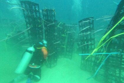 Apartemen Ikan di Sejumlah Pesisir Sulsel