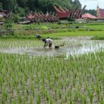 Perekonomian Sulawesi Selatan mencatat pertumbuhan sebesar 6,88 persen secara tahunan atau year-on-year (y-on-y) pada Triwulan I 2026.