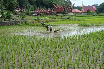 Perekonomian Sulawesi Selatan mencatat pertumbuhan sebesar 6,88 persen secara tahunan atau year-on-year (y-on-y) pada Triwulan I 2026.