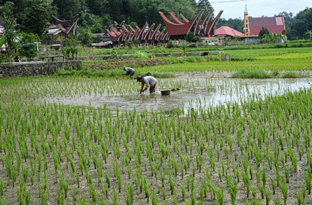 Perekonomian Sulawesi Selatan mencatat pertumbuhan sebesar 6,88 persen secara tahunan atau year-on-year (y-on-y) pada Triwulan I 2026.