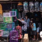 Sentra Pecinta Satwa dan Ikan Hias di Makassar Terancam Berpindah