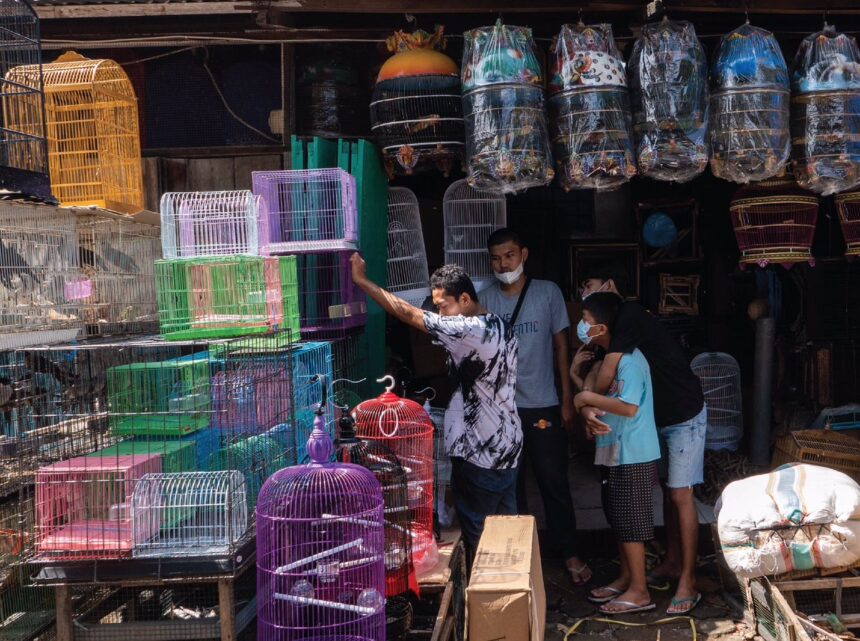 Sentra Pecinta Satwa dan Ikan Hias di Makassar Terancam Berpindah
