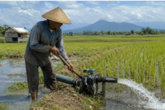 Petani Sidrap Tinggalkan Diesel dan Gas, Sawah 1.750 Hektare Beralih ke Listrik