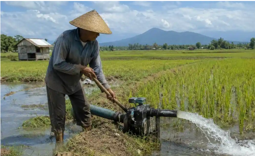 Petani Sidrap Tinggalkan Diesel dan Gas, Sawah 1.750 Hektare Beralih ke Listrik