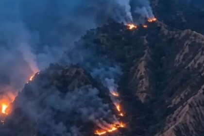 10 Hektare Lahan dan Hutan Pinus Gunung Nona Terbakar, Diduga akibat Kelalaian Warga