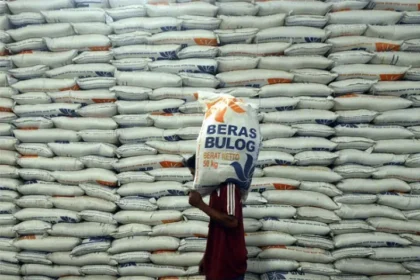 Stok Beras Lampaui Kapasitas Gudang, Bulog Sulselbar Tambah 11 Gudang Baru