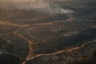 112 Kasus Karhutla Terjadi di Sulsel, Enrekang Paling Parah dengan Lebih dari Seribu Hektare Terbakar
