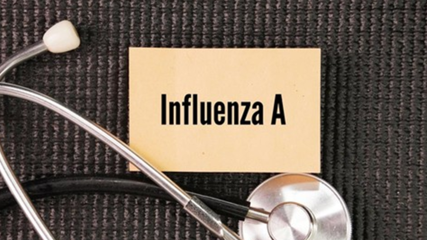 Influenza A Meningkat pada Agustus–September di Sulsel, Dinkes: Waspada, Jangan Panik